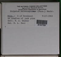 Image Associated With the Occurence